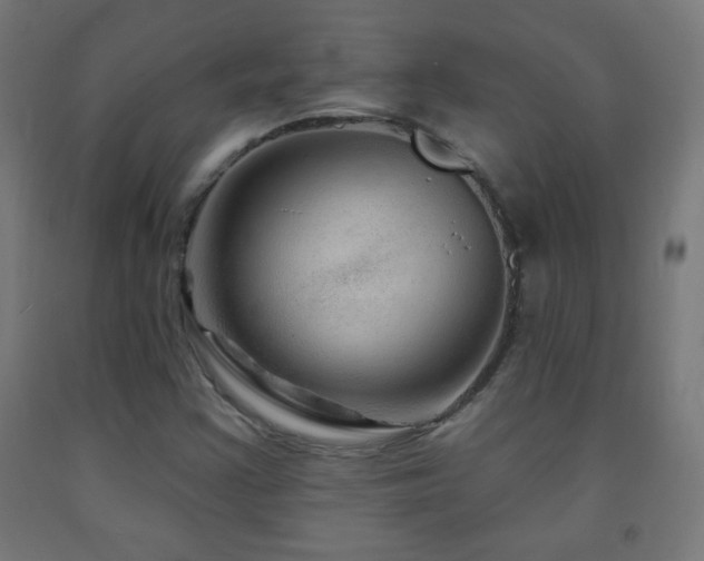 X0000093141355200709261416