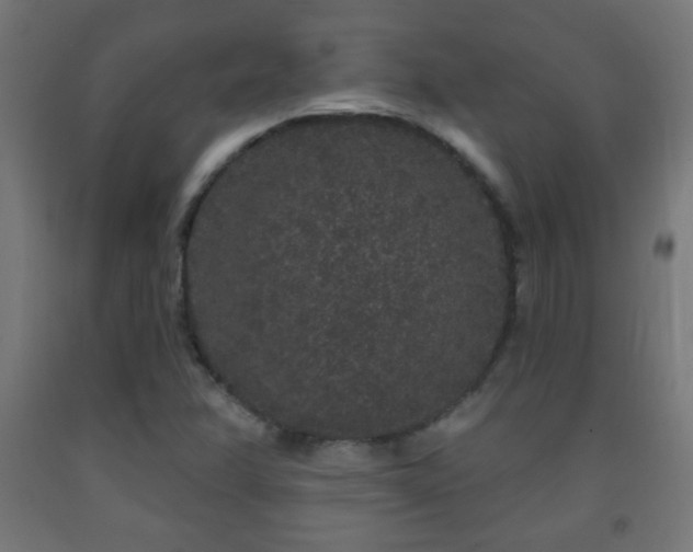 X0000093141358200709261416