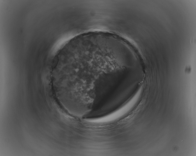 X0000093141359200709261416