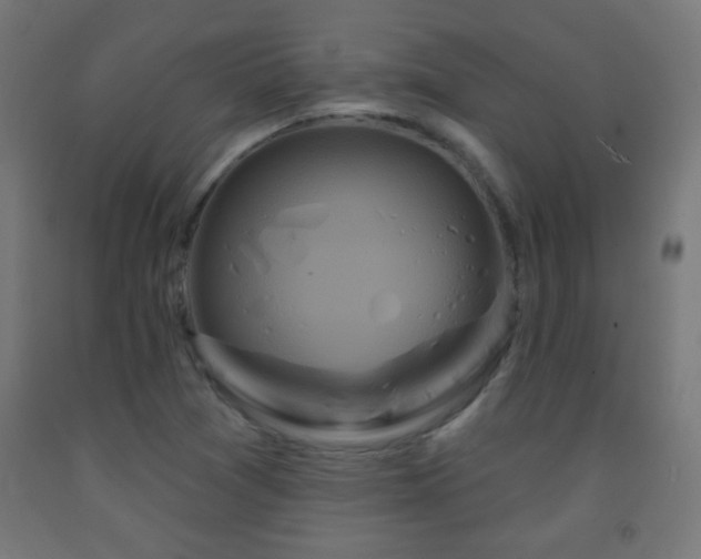X0000093141361200709261416