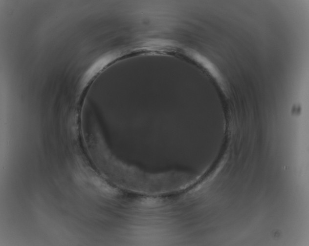 X0000093141362200709261416