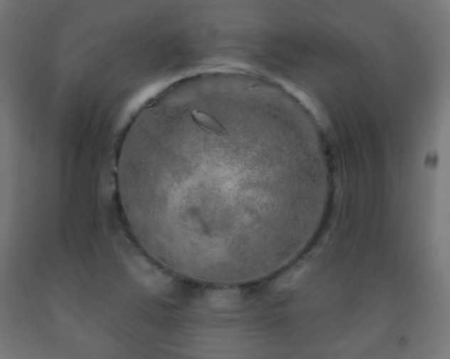 X0000093141363200709261416