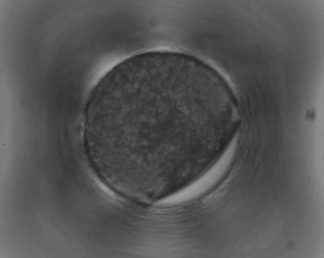 X0000093141367200709261416