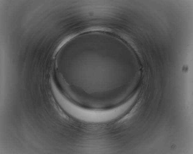 X0000093141369200709261416