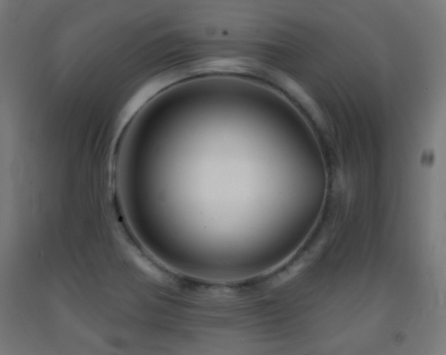 X0000093141370200709261416