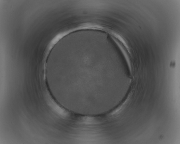 X0000093141371200709261416