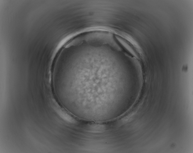 X0000093141372200709261416