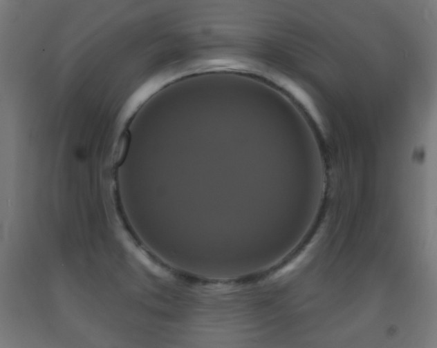 X0000093141373200709261416