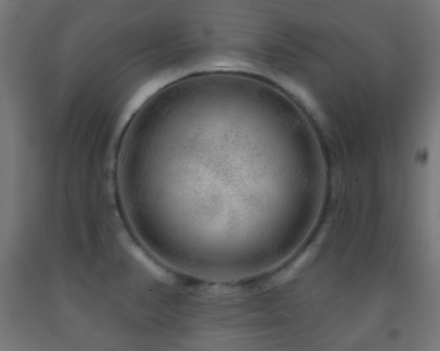 X0000093141374200709261416