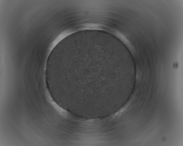 X0000093141378200709261416