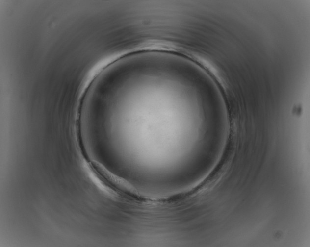 X0000093141379200709261416