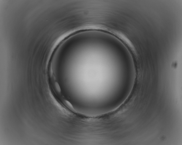 X0000093141380200709261416