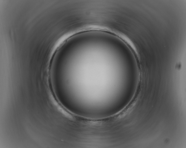X0000093141381200709261416