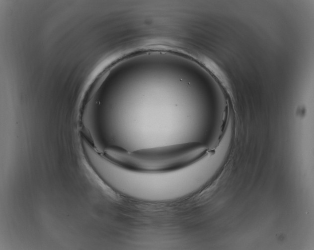 X0000093141384200709261416