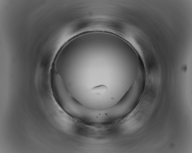 X0000093141388200709261416