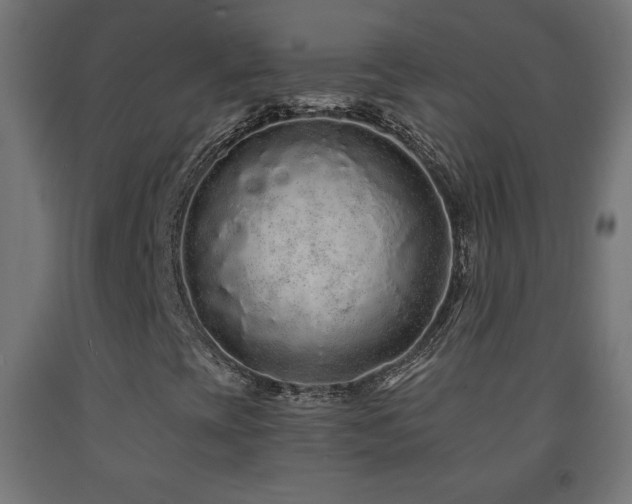 X0000093141393200709261415