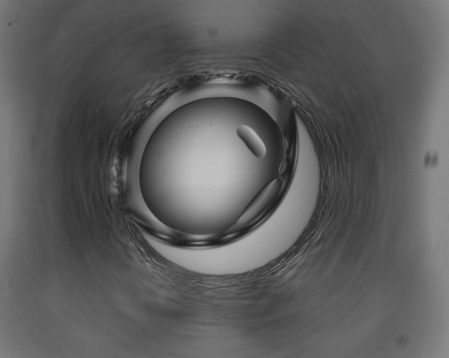 X0000093141394200709261415