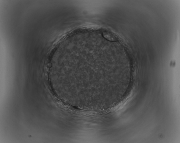 X0000093141397200709261415
