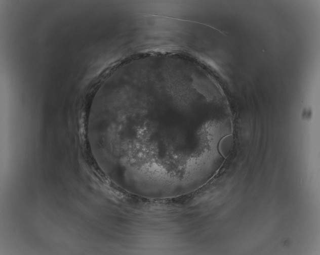 X0000093141399200709261415