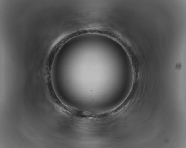X0000093141400200709261415