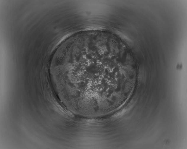 X0000093141401200709261415