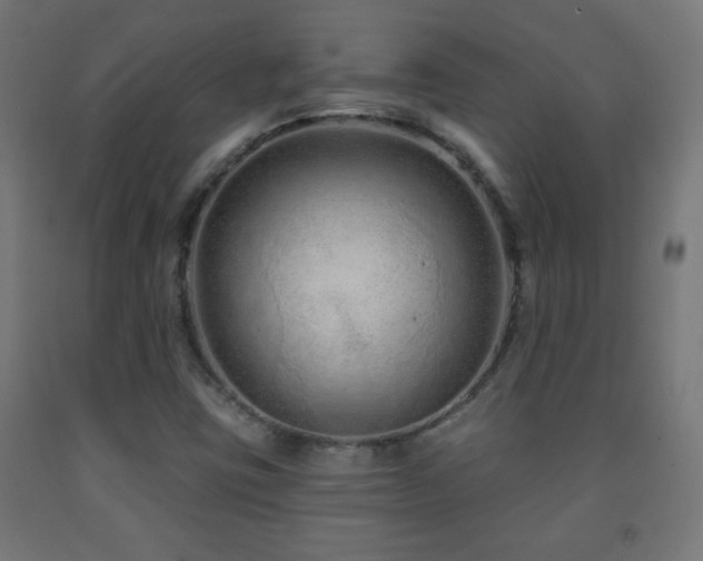 X0000093141403200709261415