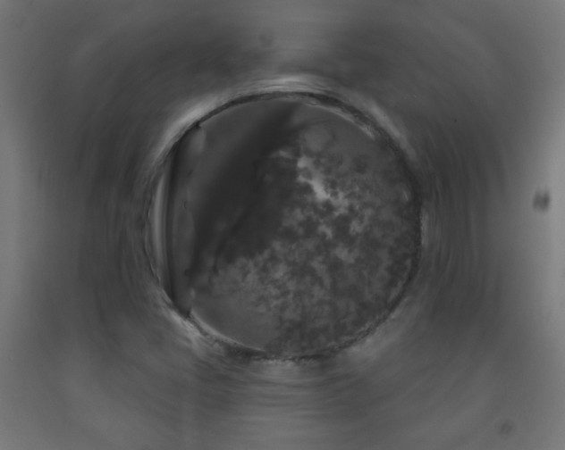 X0000093141405200709261415