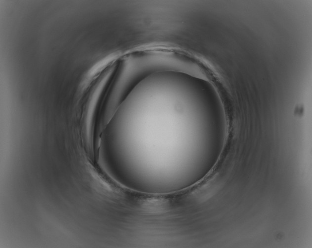 X0000093141406200709261415