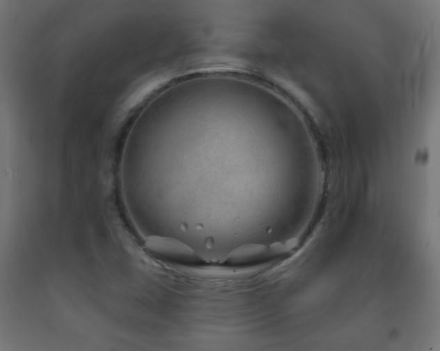 X0000093141407200709261415