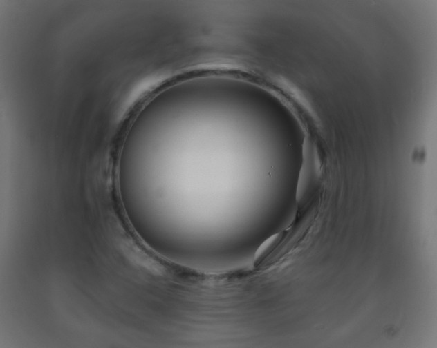 X0000093141408200709261415