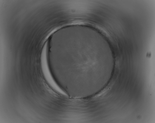 X0000093141409200709261415