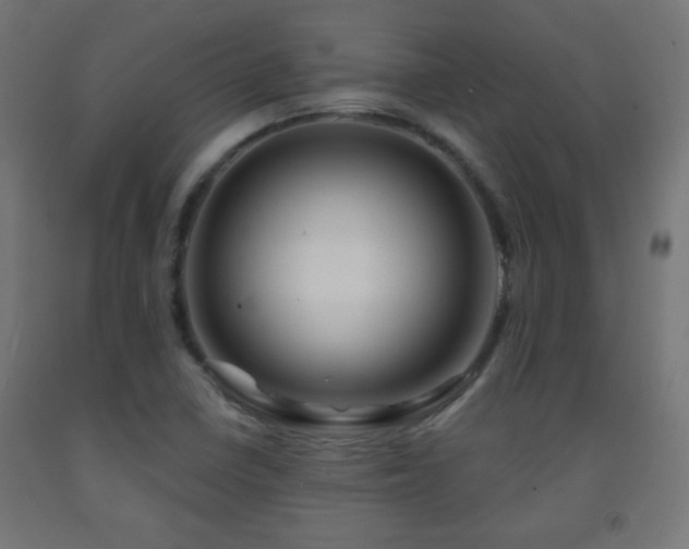 X0000093141410200709261415