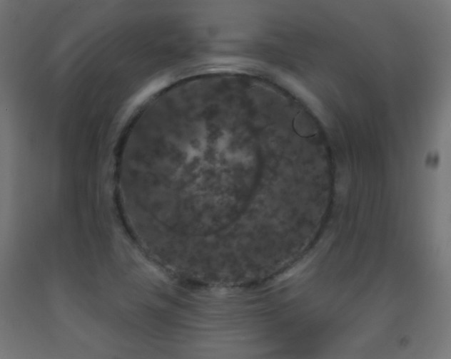 X0000093141411200709261415