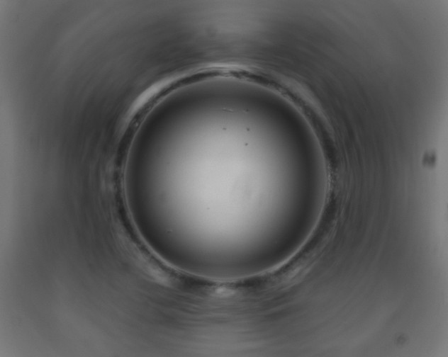 X0000093141412200709261415