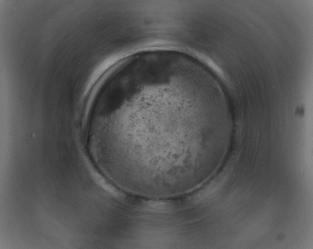 X0000093141413200709261415