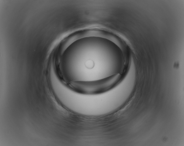 X0000093141414200709261415