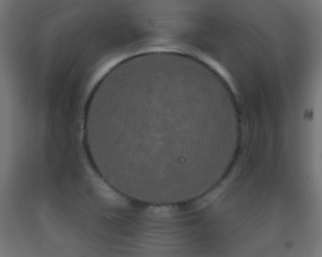 X0000093141415200709261415