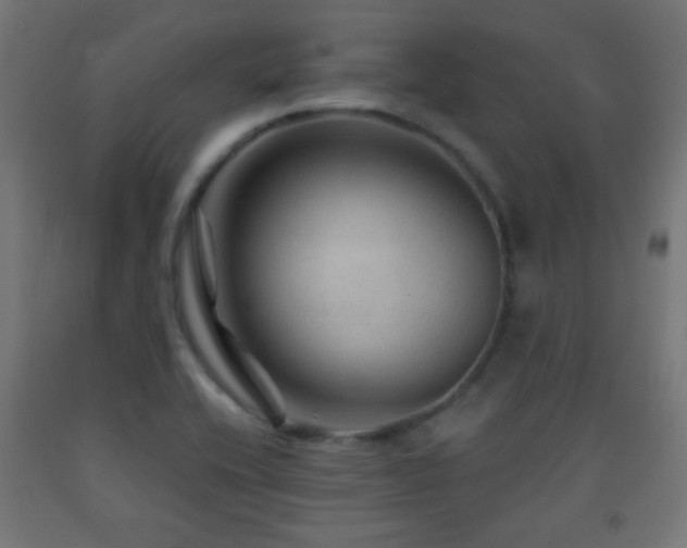 X0000093141416200709261415