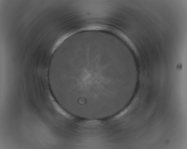 X0000093141417200709261415