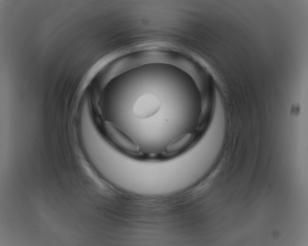 X0000093141418200709261415