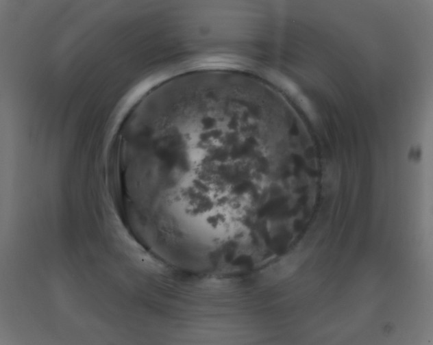X0000093141419200709261415