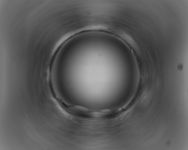 X0000093141420200709261415