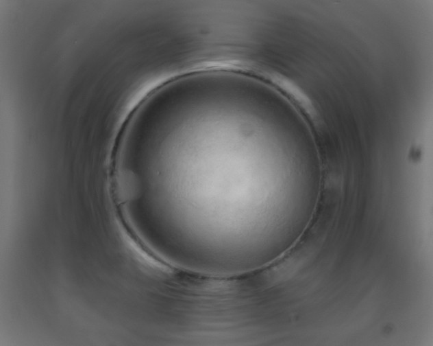 X0000093141423200709261415