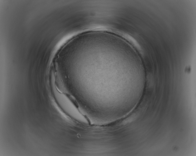 X0000093141424200709261415