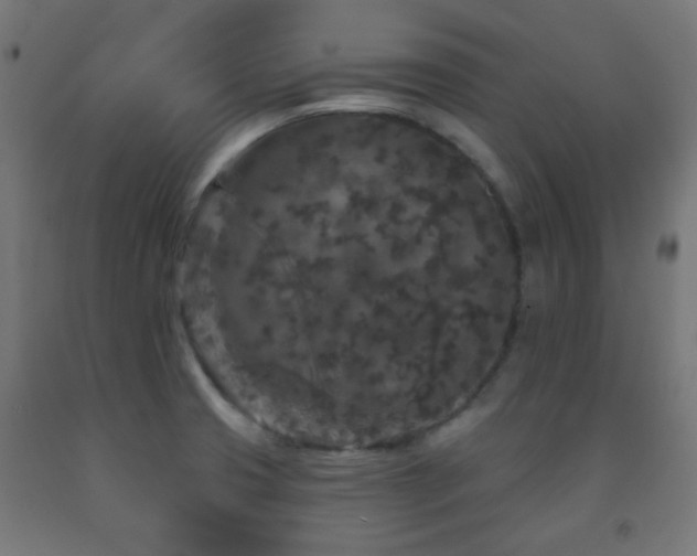 X0000093141425200709261415