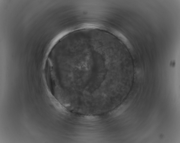 X0000093141427200709261415