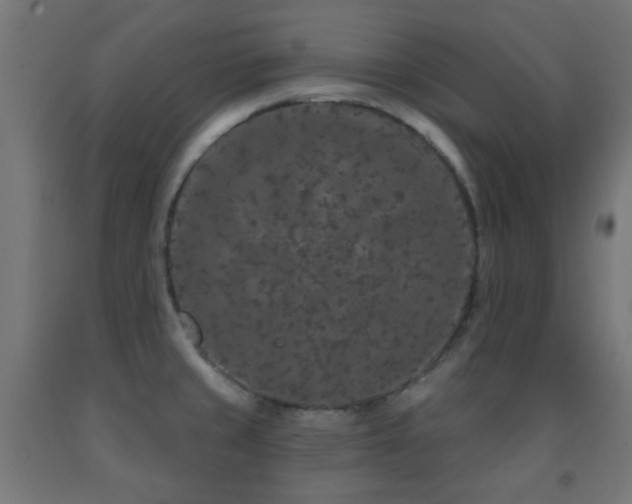 X0000093141429200709261415