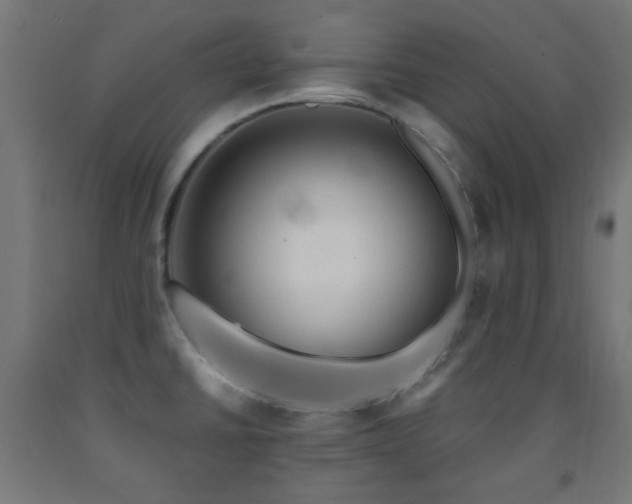 X0000093141430200709261415