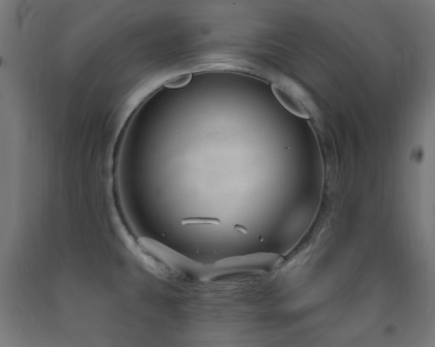X0000093141431200709261415
