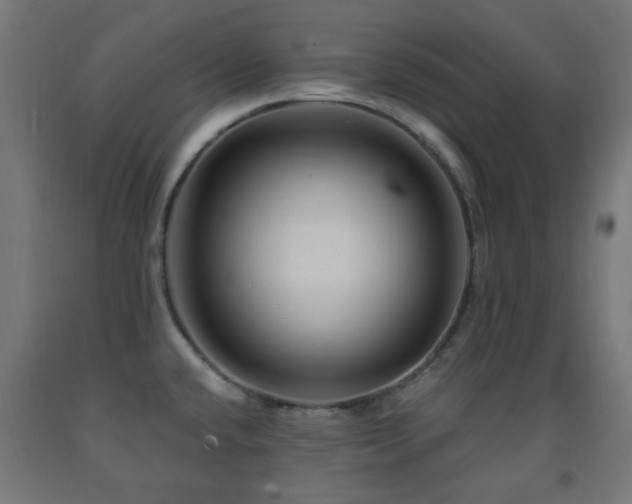 X0000093141432200709261415